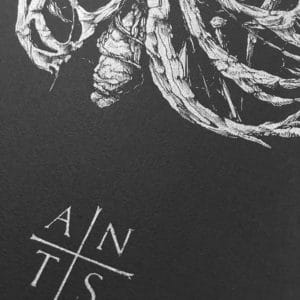 Antaeus Extase by Dehn Sora, silver ink on black paper, detail 3