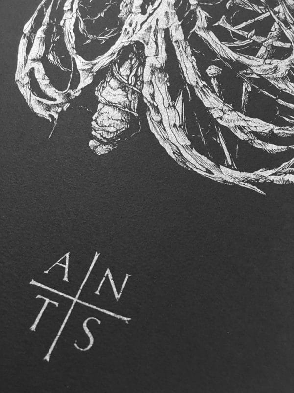 Antaeus Extase by Dehn Sora, silver ink on black paper, detail 3