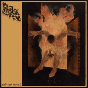 BLACK CURSE</br><i>Endless Wound</i></br>LP