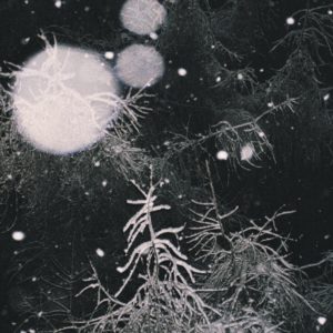 OVER THE VOIDS...</br><i>Over the Voids</i></br>CD