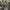 378-panopticon-waldgefluster-split-digicd-1