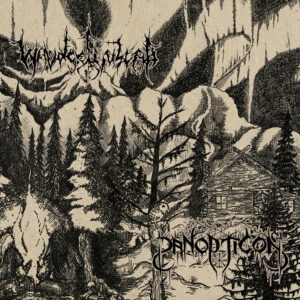 378-panopticon-waldgefluster-split-digicd-1