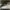elend-a-world-in-their-screams-cd-back