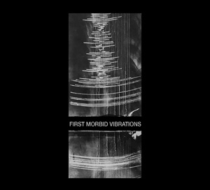 AM NOT</br><i>First Morbid Vibrations</i></br>CD