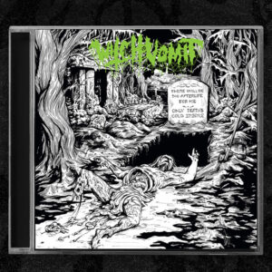 WITCH VOMIT</br><i>The Webs Of Horror</i></br>LP