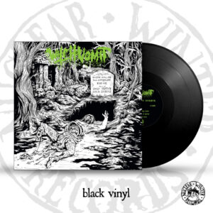 WITCH VOMIT</br><i>The Webs Of Horror</i></br>CD