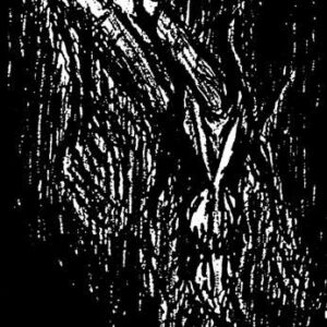VLAD TEPES</br><i>Morte Lune</i></br>CD