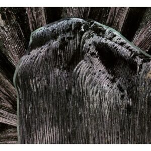 FLESHPRESS </br><i>Viimeinen Saavutettu Tahto</i></br> CD