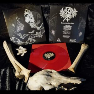 ARNAUT PAVLE </br><i>Transylvanian Glare</i></br> LP </br>Red