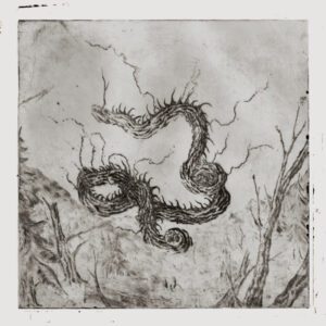 NAÐRA </br><i>Allir Vegir Til Glötunar</i></br> LP