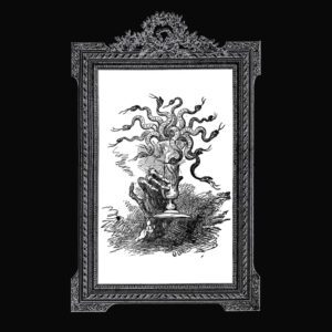 NAÐRA </br><i>Eitur</i></br> MLP