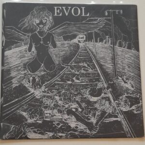 EVOL / WARTORN NATION </br><i>Evol / Wartorn Nation</i></br> 7'EP </br>Black