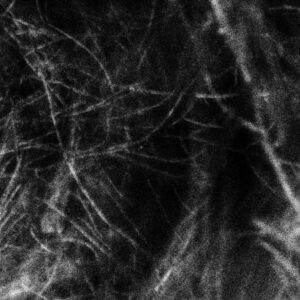 HADOPELAGYAL </br><i>Haematophoryktos</i></br> DIGICD </br>Slipcase