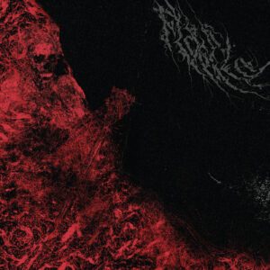 FLAGELO </br><i>Insaciable</i></br> MCD