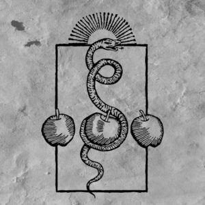 DARVAZA </br><i>We Are Him</i></br> DIGICD