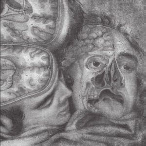 GENOCIDE ORGAN </br><i>Same</i></br> DLP