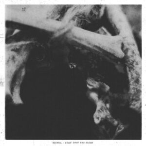 KRINGA</br><i>Feast upon the Gleam</i></br>CD