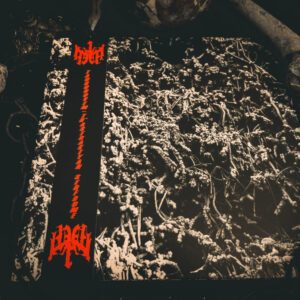 NECROPOLISSEBEHT </br><i>Taurunovem - Th’Astraktyan Serfdome</i></br> LP