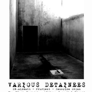 VA </br><i>In The Hole</i></br> LP